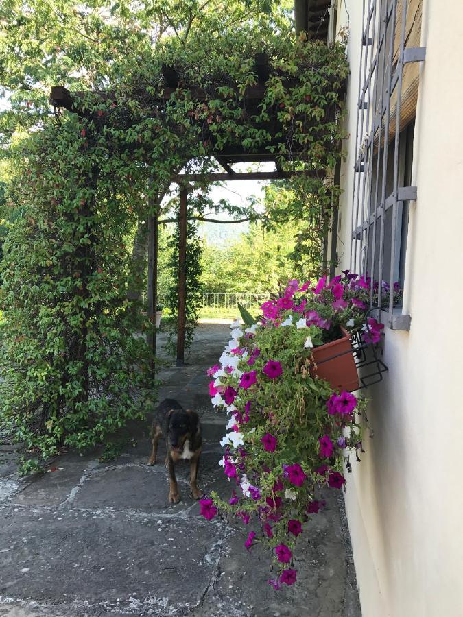 Penzion Il Pezzatino Rufina Exteriér fotografie