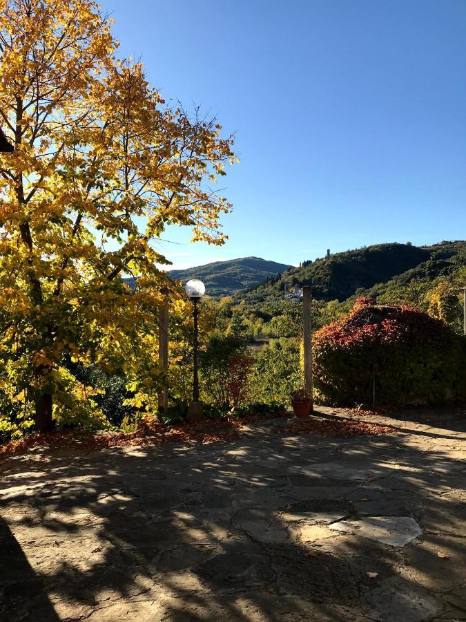 Penzion Il Pezzatino Rufina Exteriér fotografie